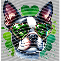 ST PATRICKS DAY-ST 352